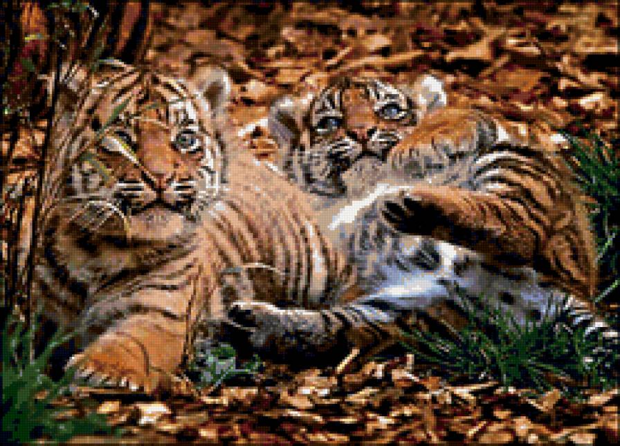 Тигрята - животные, тигры, живопись - предпросмотр