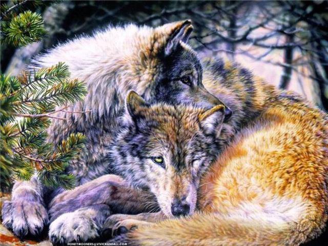 Любовь волков - животные, любовь, природа - оригинал