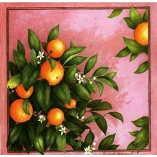 Оригинал схемы вышивки «апельсин» (№108057)