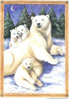 Белые медведи - зима, животные, медведи - оригинал