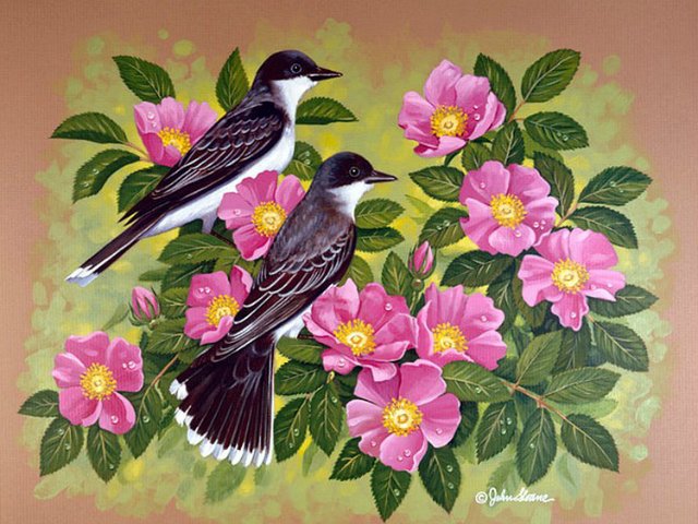Серия "Птицы" - птицы, цветы, букет, шиповник, сороки - оригинал