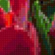 Предпросмотр схемы вышивки «тюльпаны в красном» (№108493)
