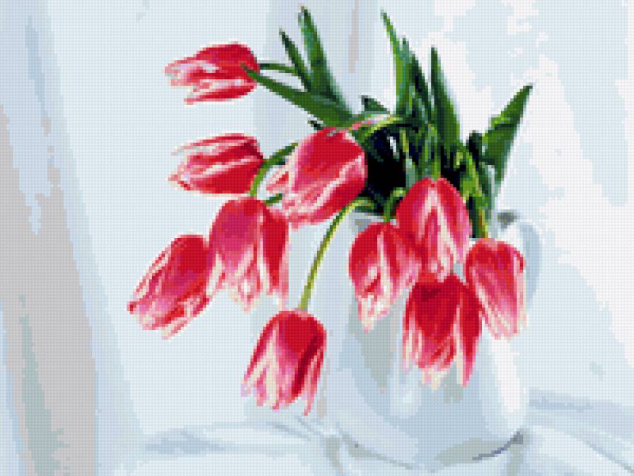 розовые тюльпаны - предпросмотр