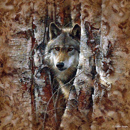 0031 - волк, лес, животные, волки - оригинал