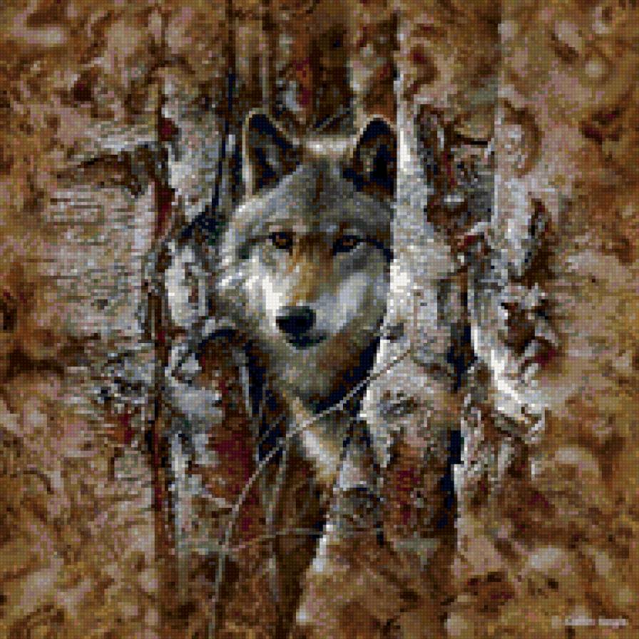 0031 - лес, волки, волк, животные - предпросмотр