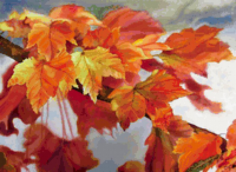 Осенние листья - осень, листья - предпросмотр