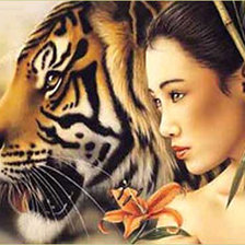 Схема вышивки «Тигрица и японка»