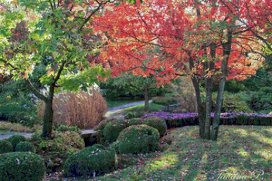 Осень в Ботаническом саду - деревья, осень - предпросмотр