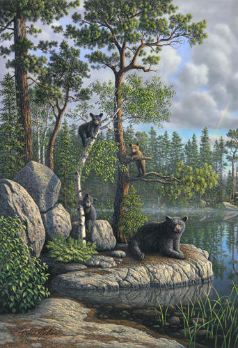 медведи 2\3 - река, пейзаж, сосны, камни, вода, медвежата, медведи, природа - оригинал