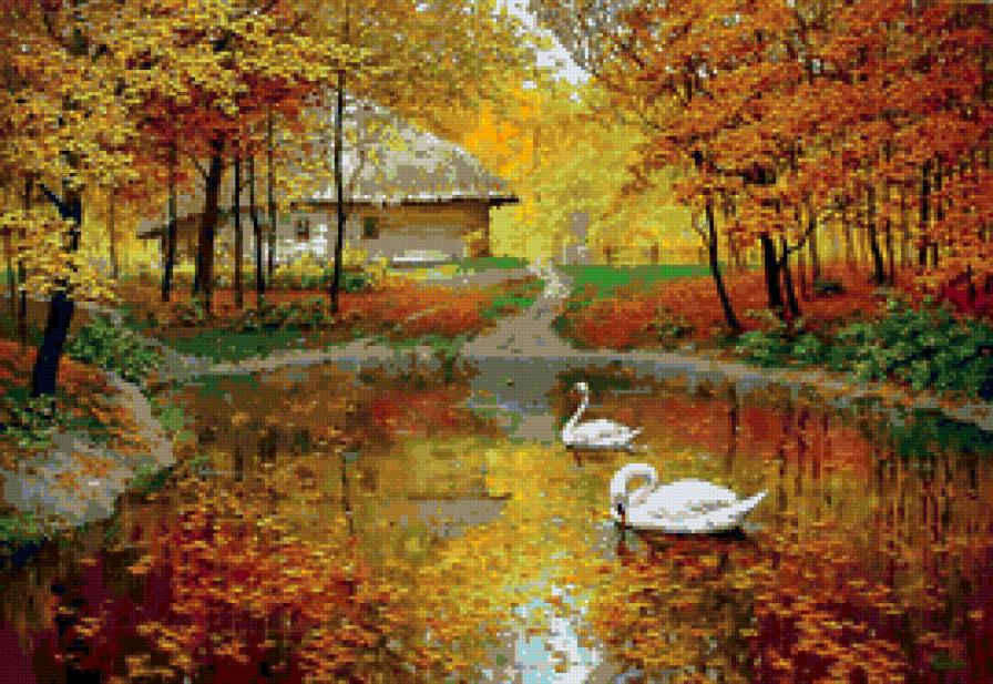 лебеди на пруду - озеро, пруд, природа, лебеди, осень, пейзаж - предпросмотр