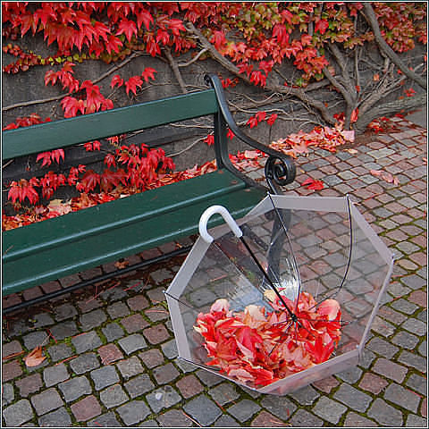 Осень - осень, зонт, скамейка, листья - оригинал