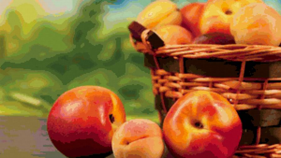 Персики в корзине - фрукты, вкусное, персики, на кухню - предпросмотр