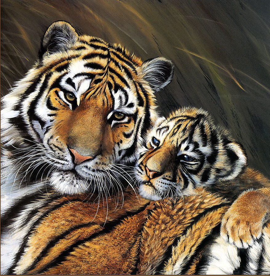 тигры - тигрята, кошки, тигр, хищники, тигренок, животные - оригинал