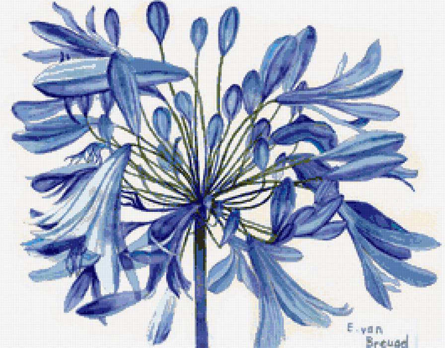 Голубые цветы - цветок, голубые цветы, нежные лепестки, панно, цветочки - предпросмотр