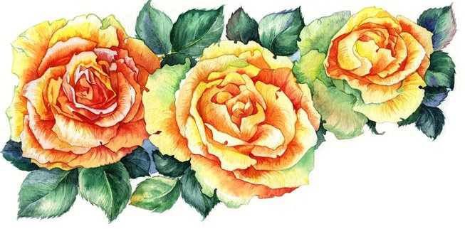 Розы - лепестки, роза, душистые розы, розы, букет, цветы - оригинал