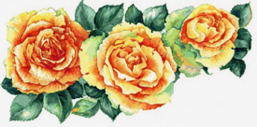 Розы - лепестки, букет, роза, цветы, розы, душистые розы - предпросмотр