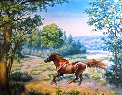 На воле - животные, кони, лошади, лес, небо, конь, природа - оригинал