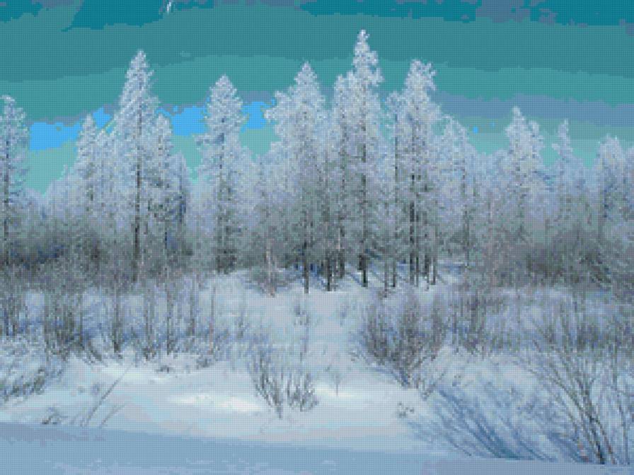 лес - природа, лес, зима - предпросмотр