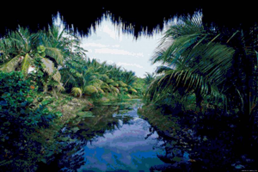 Завораживающие джунгли... - джунгли, река, природа, вода - предпросмотр