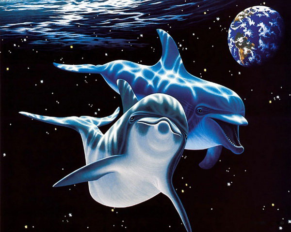 Дельфины - дельфины, животные, подводный мир - оригинал