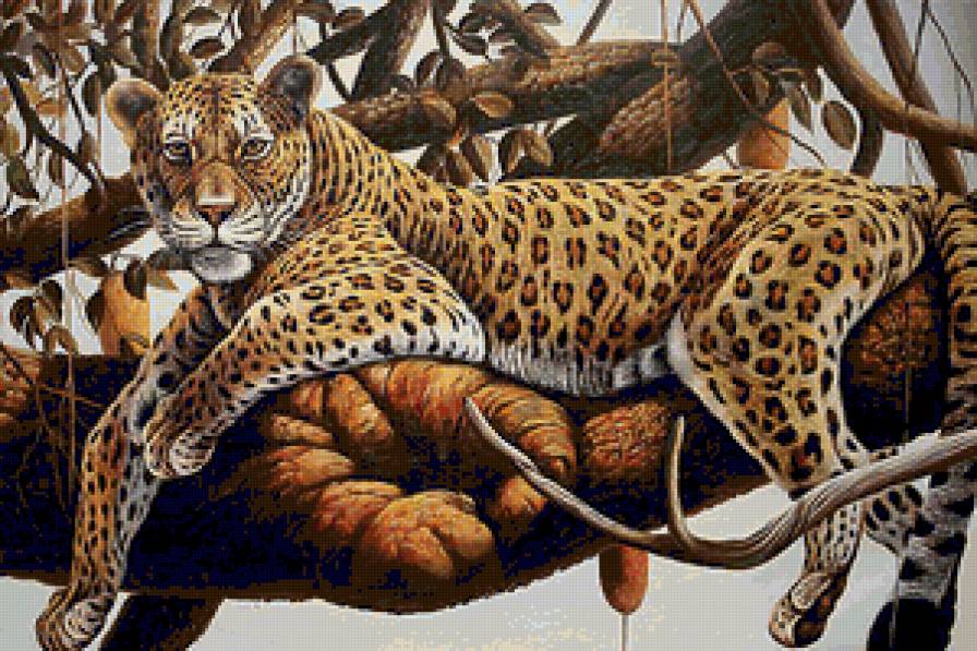 леопард отдыхает - ветка, хищник, леопард, дерево, животные - предпросмотр