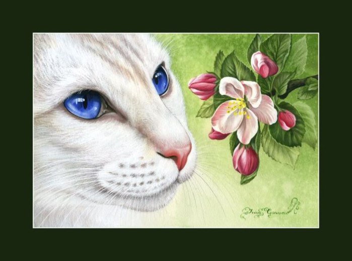 Кот и цветы - животные, цветы, коты, живопись - оригинал
