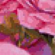 Предпросмотр схемы вышивки «розовый букет» (№114202)
