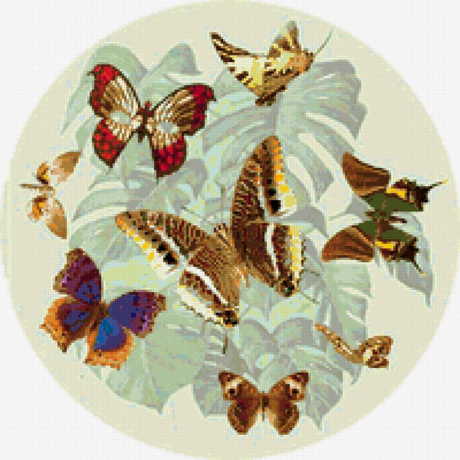 бабочки - бабочки, насекомые, подушка - предпросмотр