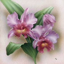 Оригинал схемы вышивки «орхидеи» (№114857)