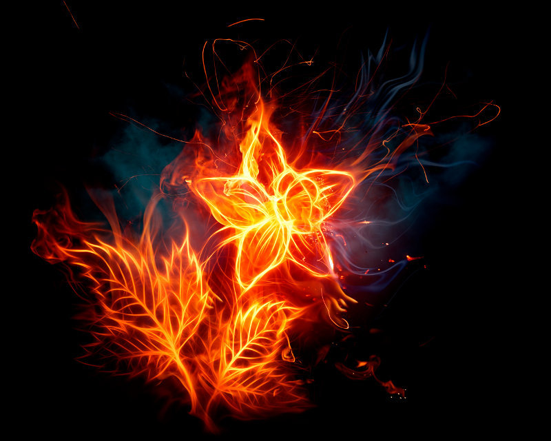 Огненный цветок - фантастика, огонь, цветок - оригинал