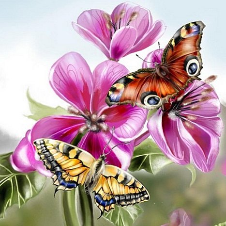 Бабочки - бабочки, цветы - оригинал