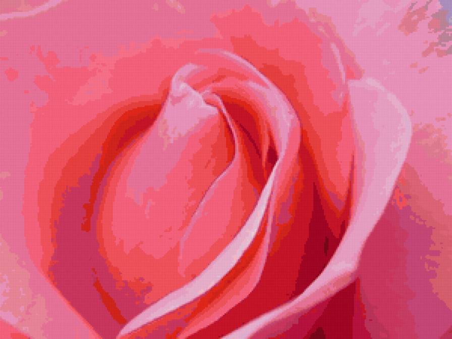 №115611 - цветы, розы, картина - предпросмотр