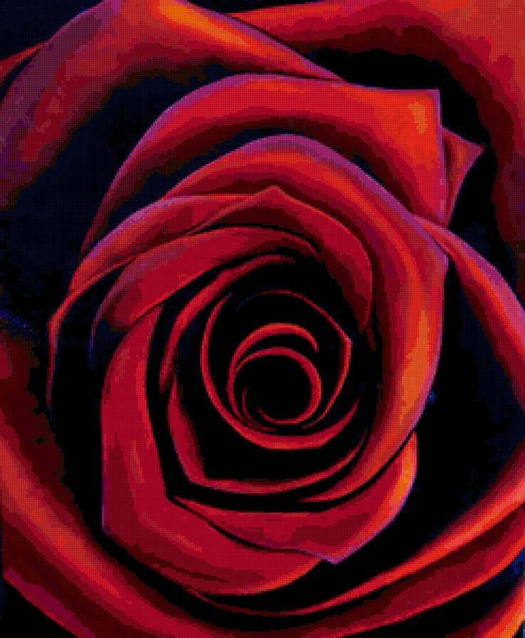 №115658 - цветы, розы, картина - предпросмотр