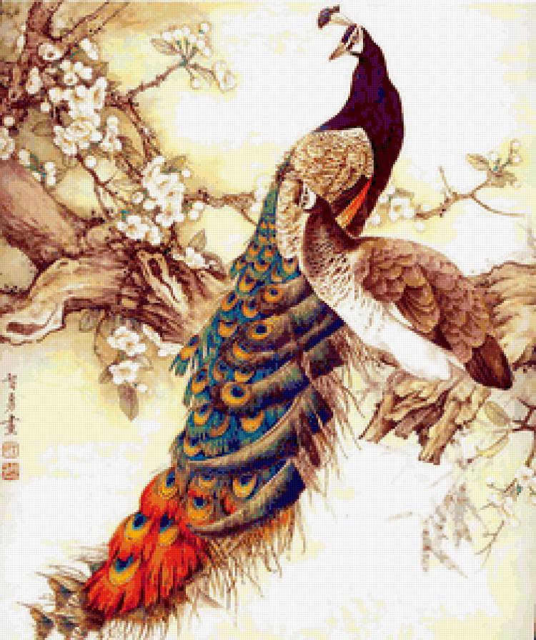 китайская живопись - павлин, птицы, китай - предпросмотр