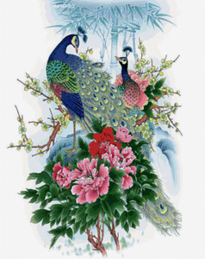 китайская живопись - павлины, птицы, китай - предпросмотр