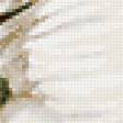 Предпросмотр схемы вышивки «лебедь с птинцами» (№115744)