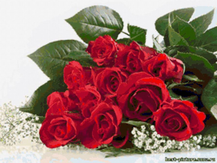 букет роз - букет, цветы, розы - предпросмотр