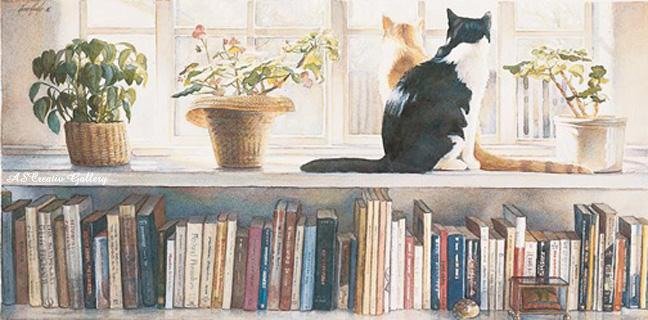 В библиотеке - животные, книга, кошка, окно - оригинал