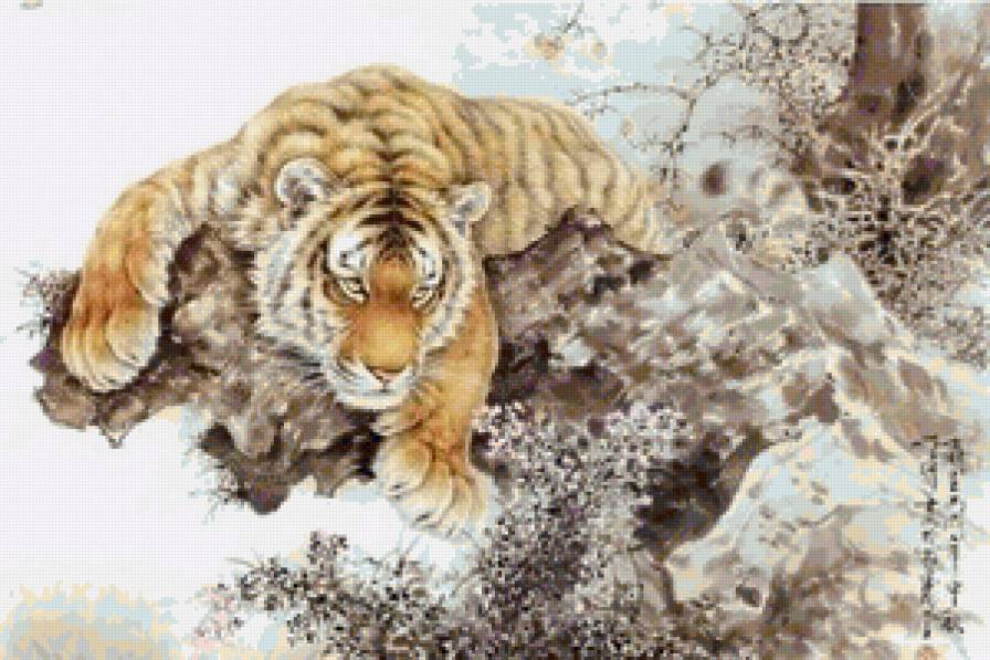 Тигр - хищник, тигр, кошки, восток - предпросмотр