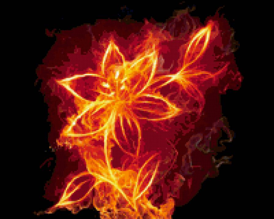 Огненный цветок - цветок, цветы, огонь - предпросмотр