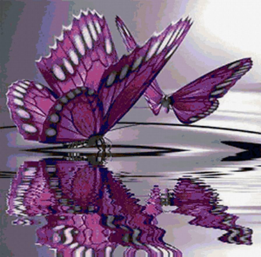 бабочки в воде - бабочки, вода - предпросмотр