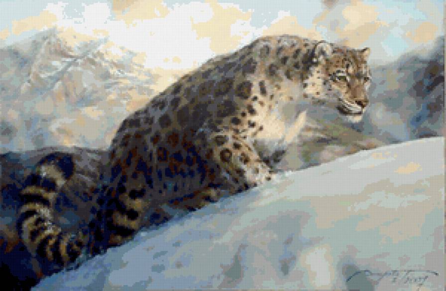 Снежный барс - хищник, кошка, животные - предпросмотр