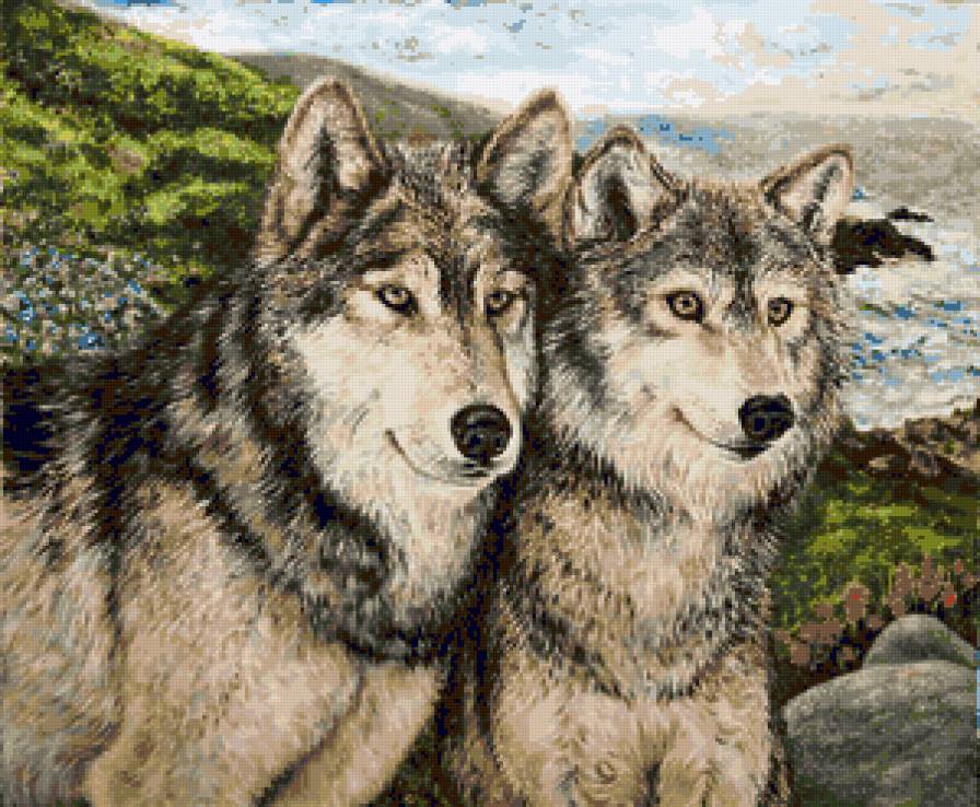 Волки - природа. елка, звери, хищник, волки, wolf, волк, animals - предпросмотр