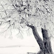 Схема вышивки «дерево со снегом»