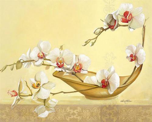 Орхидеи - ваза, орхидеи, натюрморт, цветы - оригинал