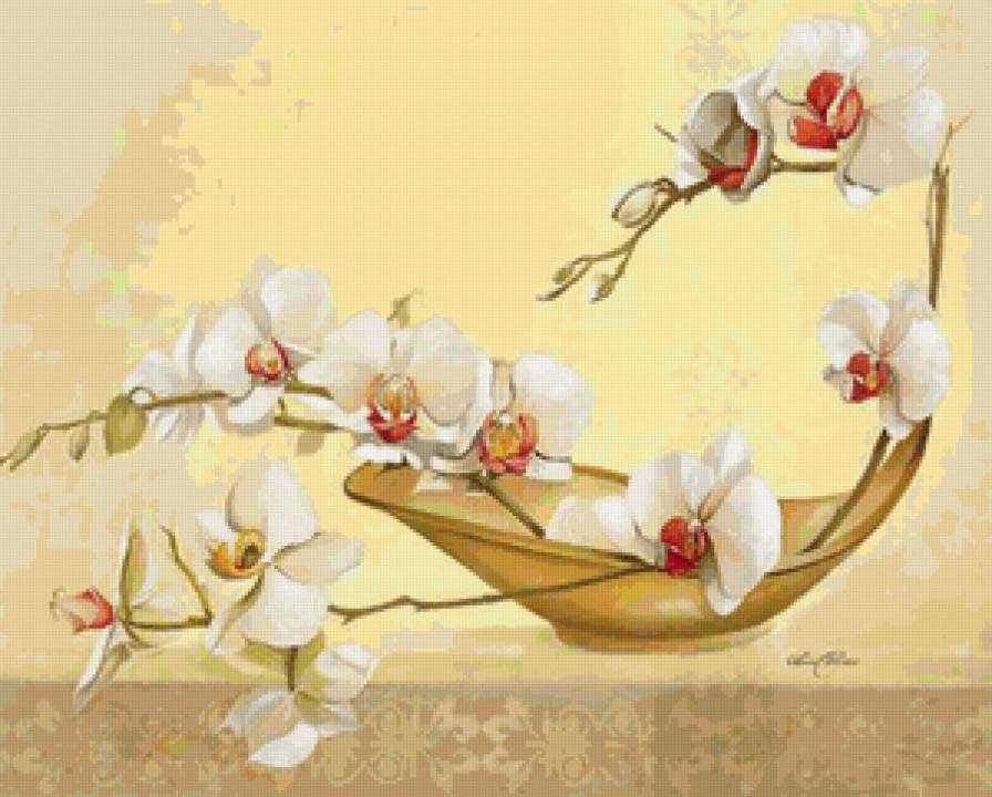 Орхидеи - натюрморт, орхидеи, ваза, цветы - предпросмотр