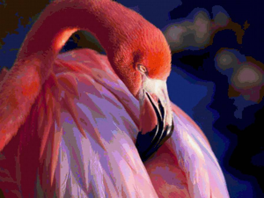 Розовый фламинго - фламинго, птицы - предпросмотр