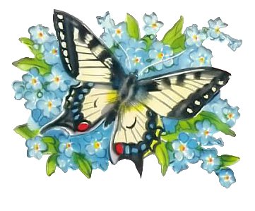 Бабочка - фауна - оригинал