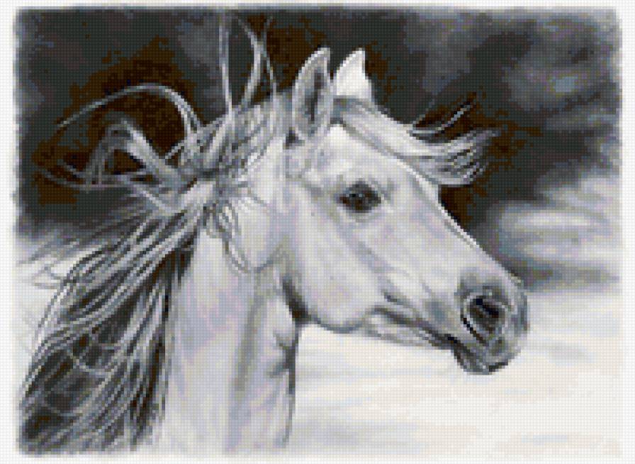 Белая лошадь - лошади, животные - предпросмотр
