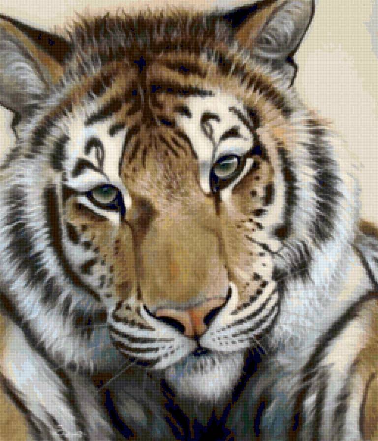 тигр - кошки, хищники - предпросмотр